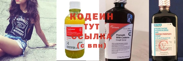 индика Абаза