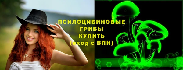 индика Абаза
