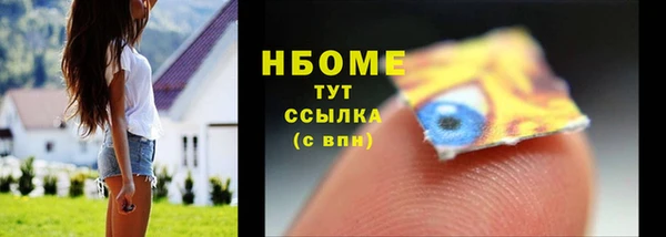 индика Абаза