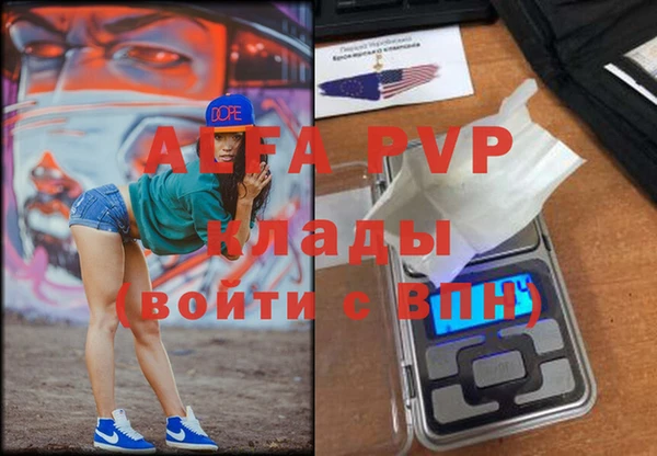 индика Абаза